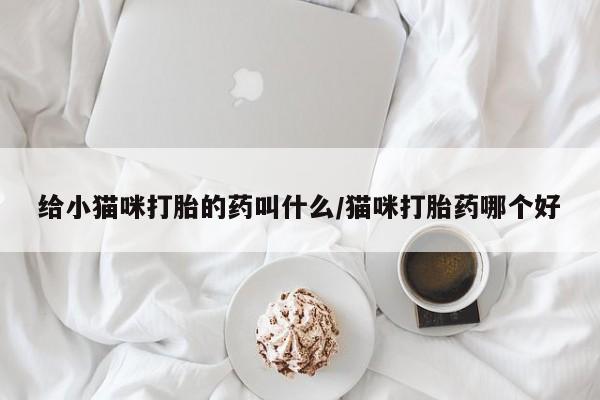 流产药叫什么名购买流程给小猫咪打胎的药叫什么/猫咪打胎药哪个好