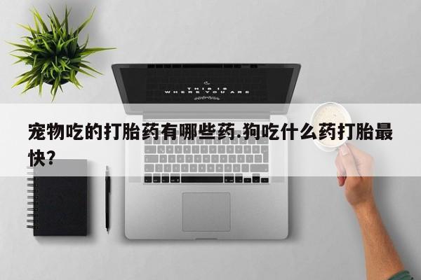 流产药叫什么名购买流程宠物吃的打胎药有哪些药.狗吃什么药打胎最快？